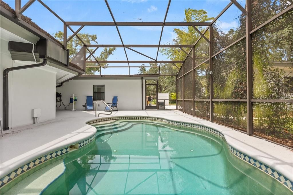 Glass Ceilings, Interior, Pool, Sun Room