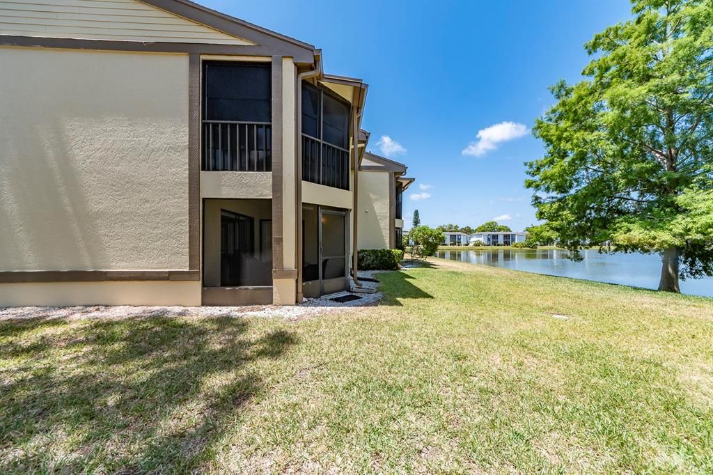 Backyard, Exterior, Water