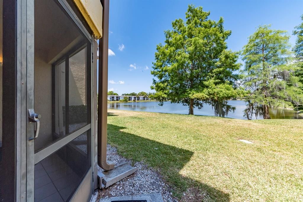 Backyard, Exterior, Water