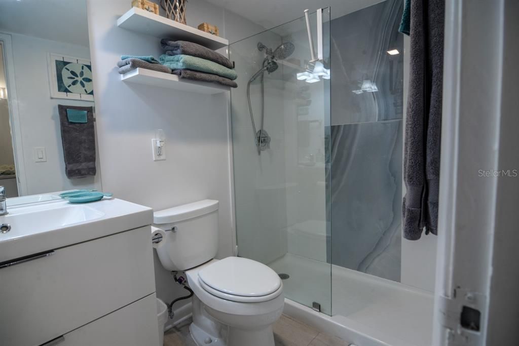 Bathroom, Glass Shower, Interior