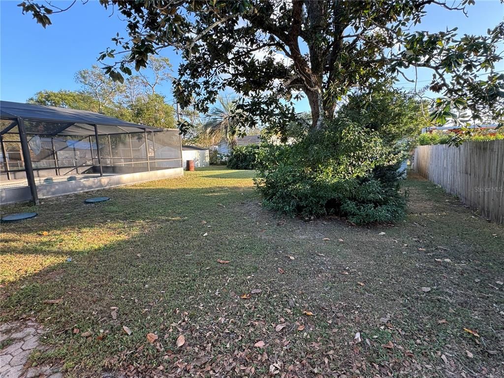 Backyard, Exterior