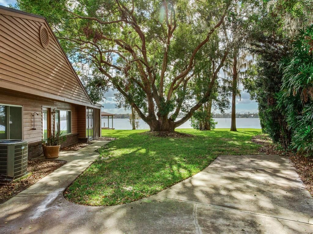 Backyard, Exterior, Water