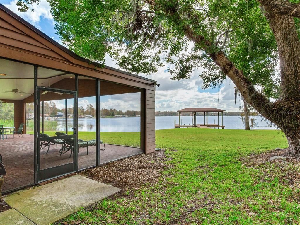 Backyard, Exterior, Water