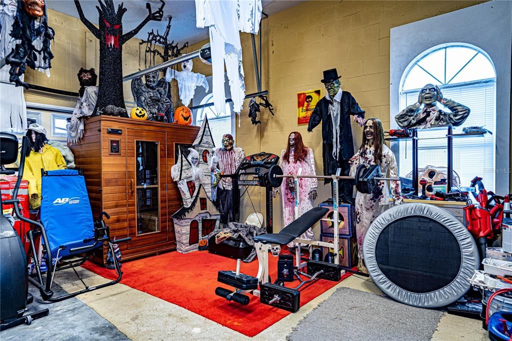 Fitness Equipment, Interior, Wooden Walls