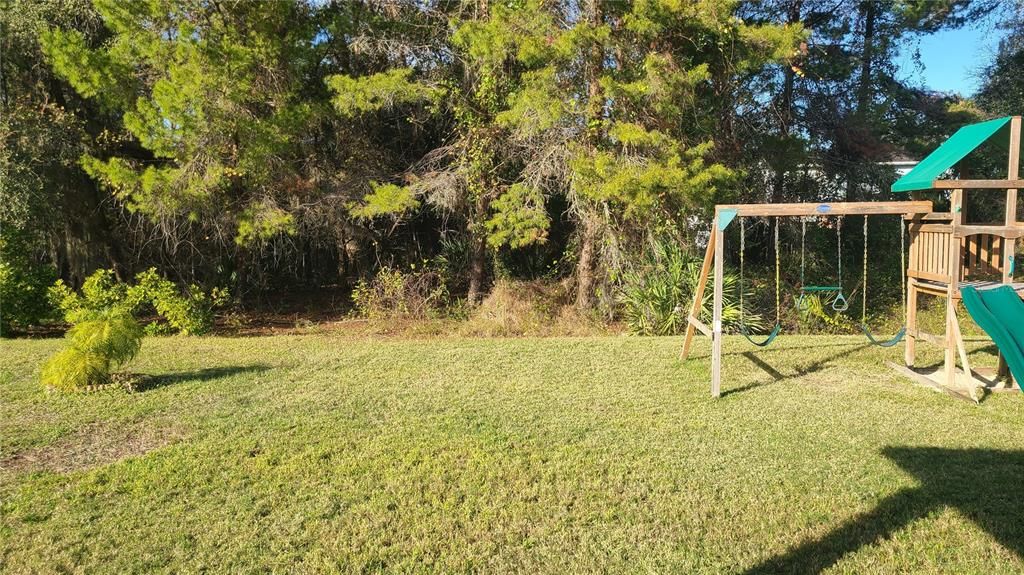 Backyard, Exterior, Playground