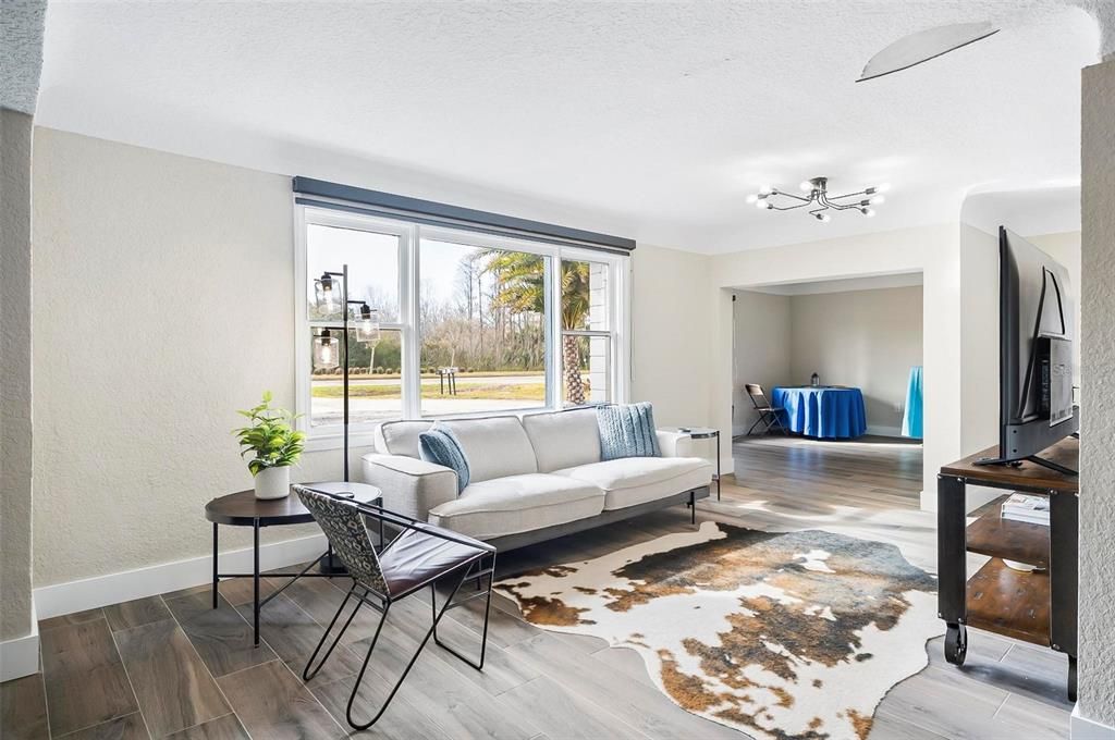 Interior, Living room, Wood Texture Flooring