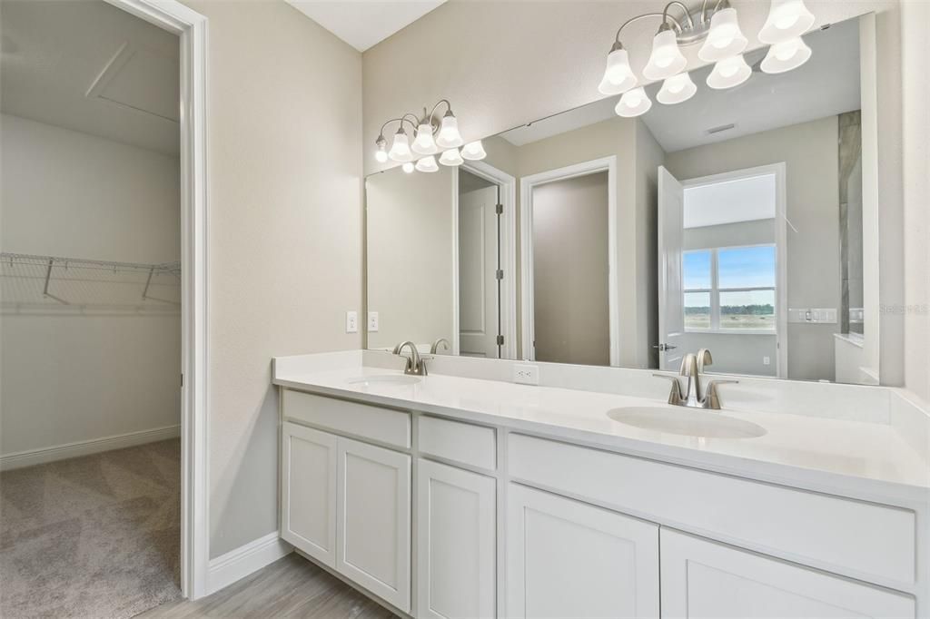 Bathroom, Dual Sink Vanities, Interior, Wood Texture Flooring