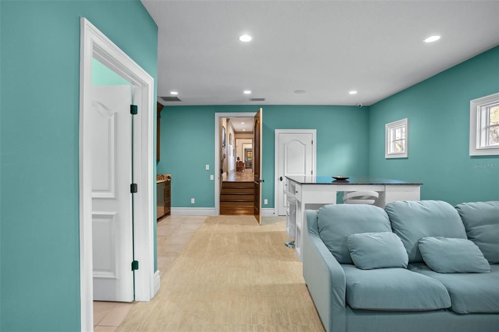 Game Room, Interior, Recessed Lighting, Wood Texture Flooring