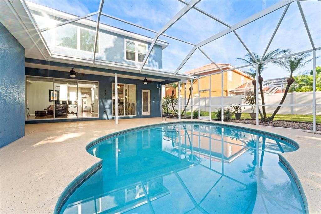 Glass Ceilings, Interior, Pool, Sun Room