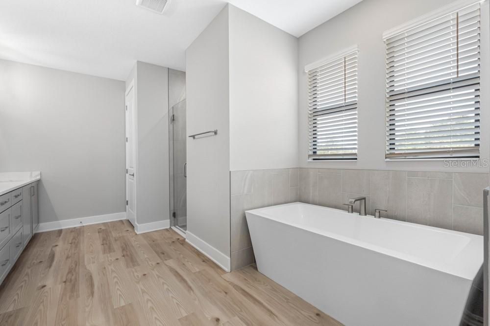 Bathroom, Free Standing Baths, Interior, Wood Texture Flooring