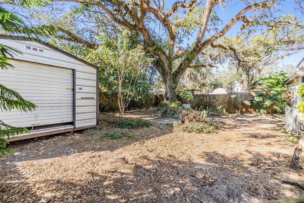 Backyard, Exterior