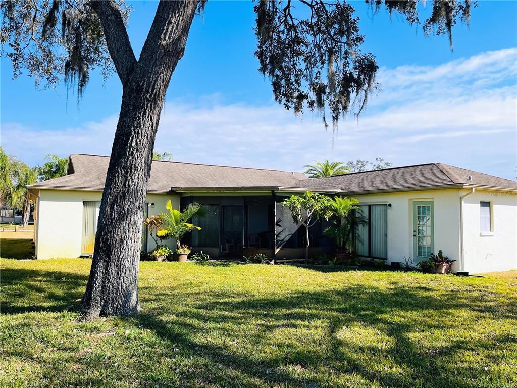 Backyard, Exterior