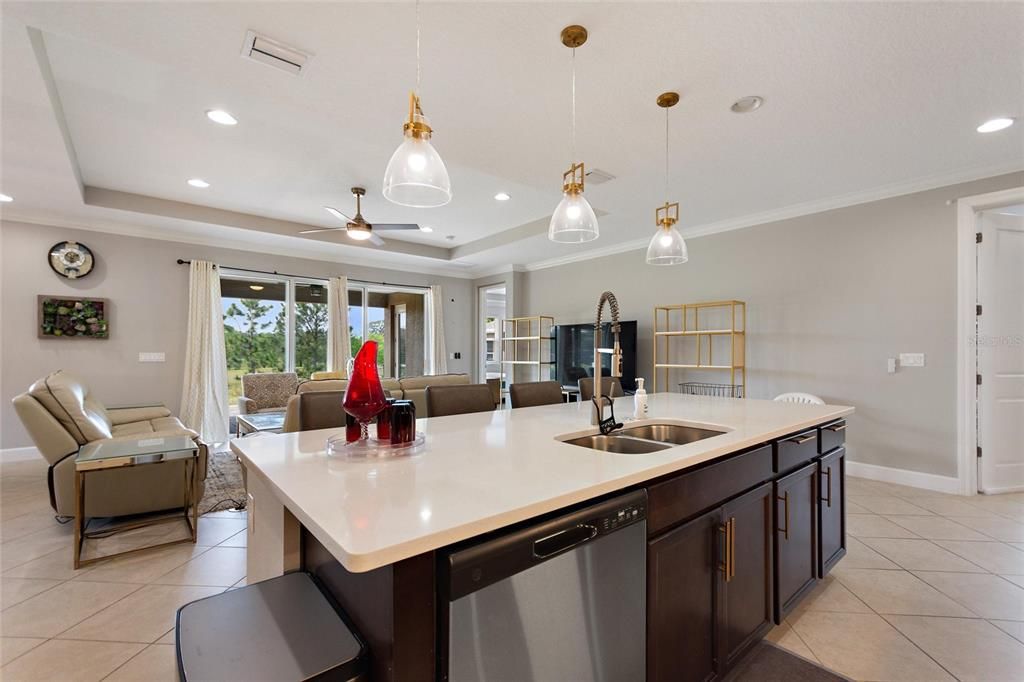 Interior, Kitchen, Living room, Pendant Lights, Recessed Lighting, Stainless Steel Appliances
