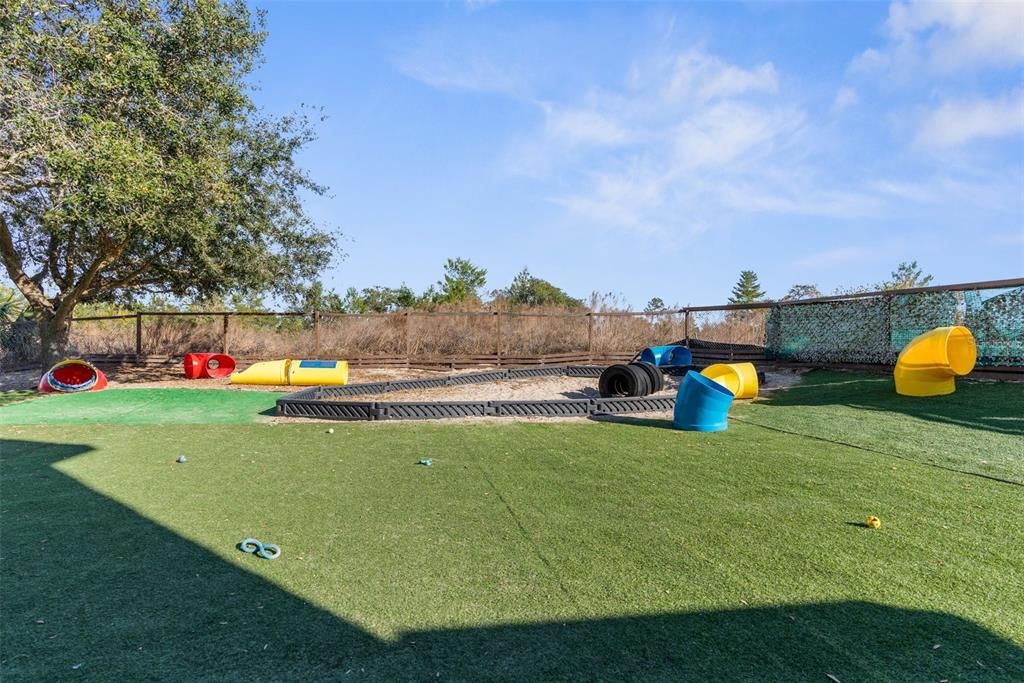 Backyard, Exterior, Playground