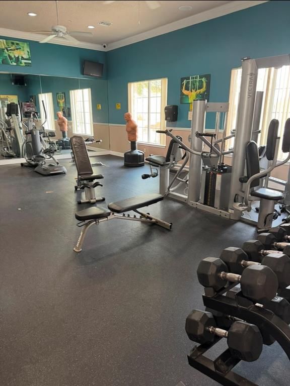 Fitness Equipment, Gym, Interior, Recessed Lighting
