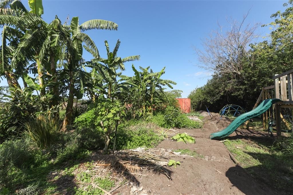 Backyard, Exterior, Playground