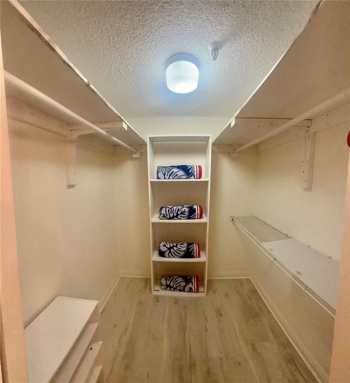 Interior, Walk-in Closets, Wood Texture Flooring
