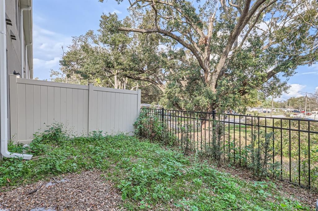 Backyard, Exterior