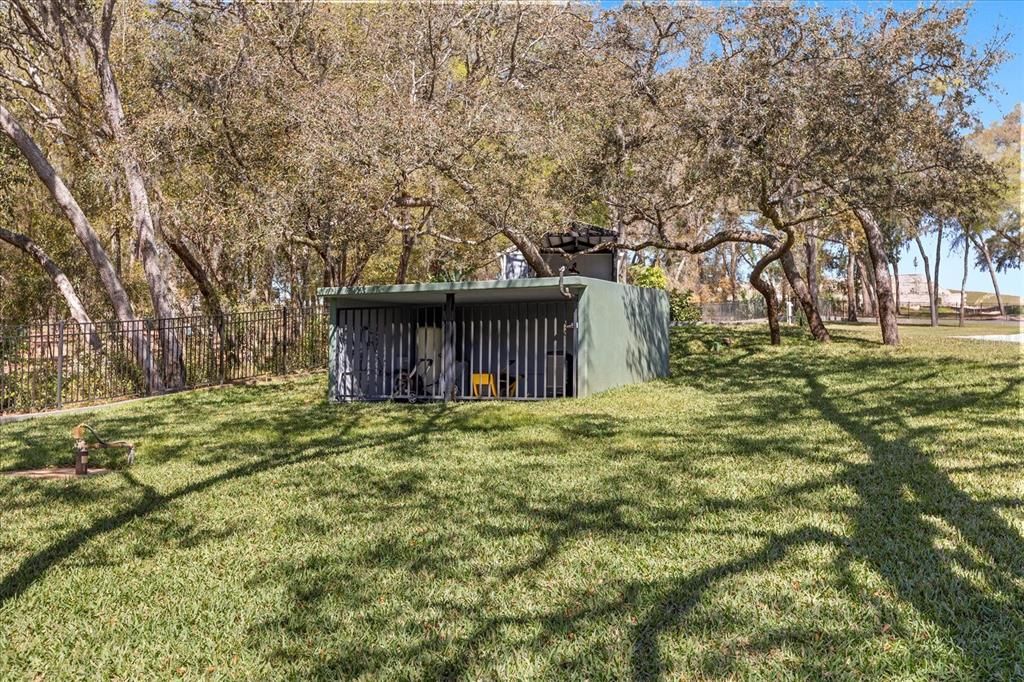 Backyard, Exterior