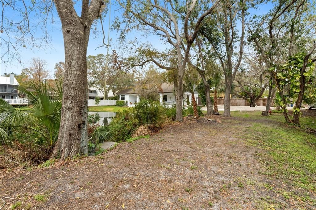 Backyard, Exterior, Water
