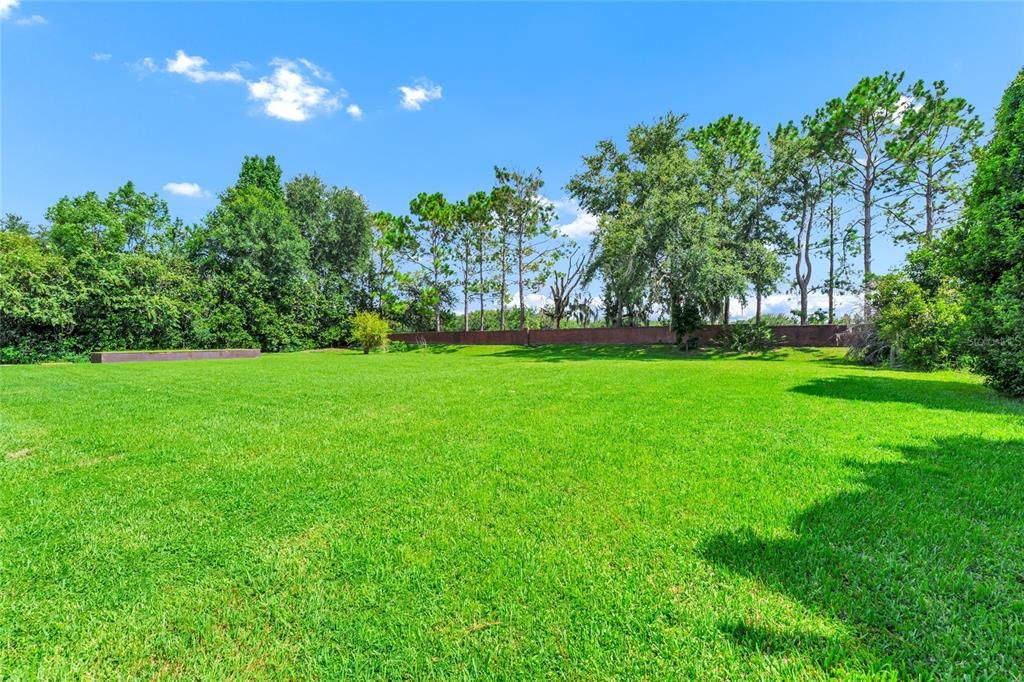Backyard, Exterior