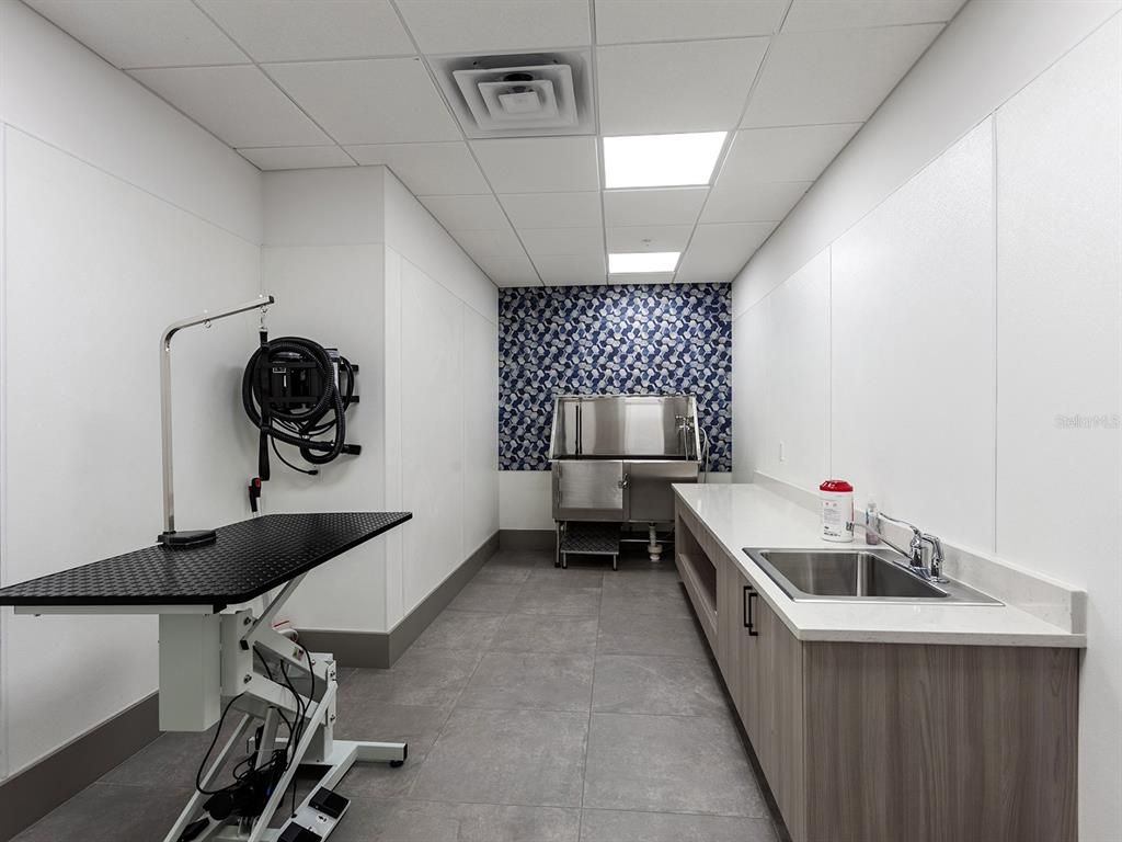 Interior, Recessed Lighting, Stainless Steel Appliances