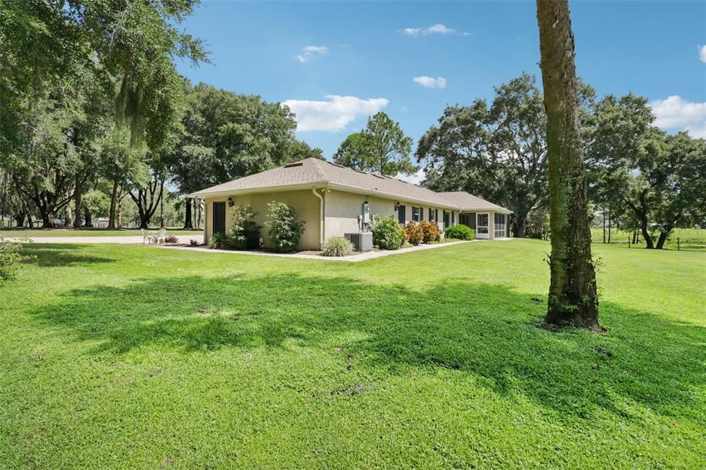 Backyard, Exterior