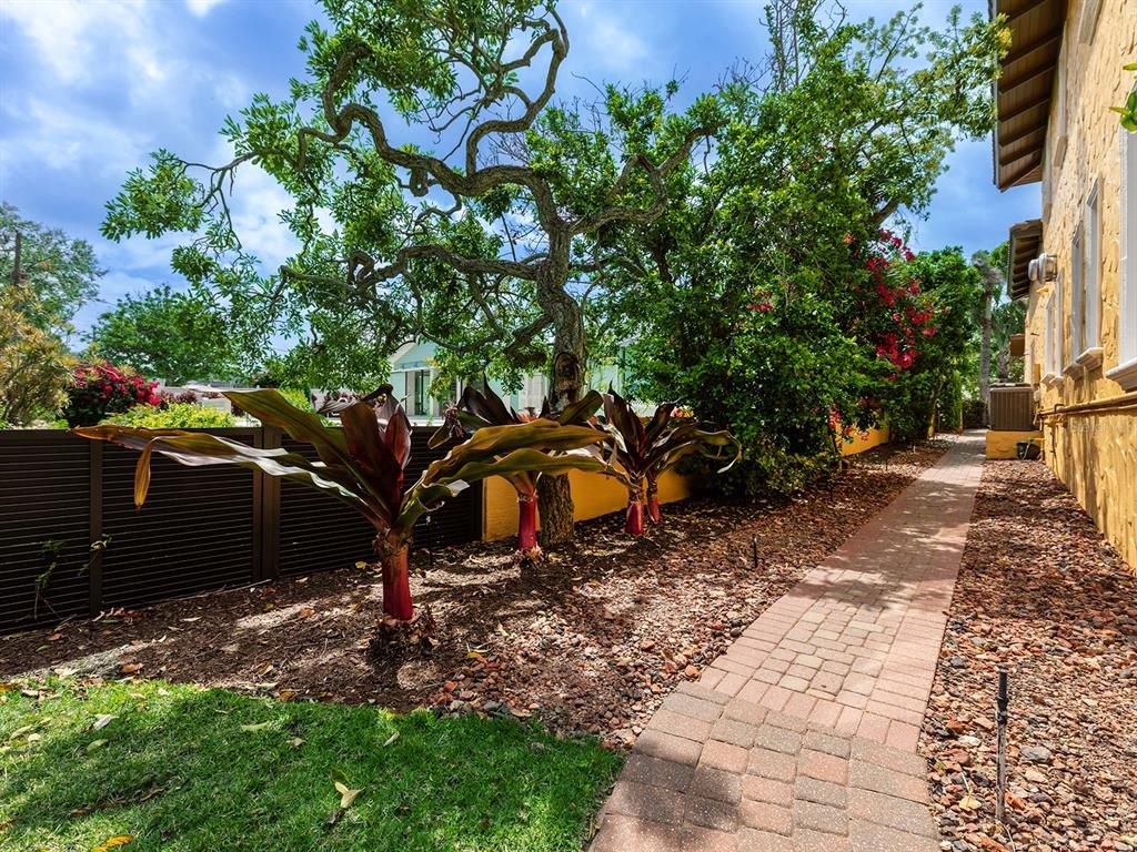 Backyard, Exterior