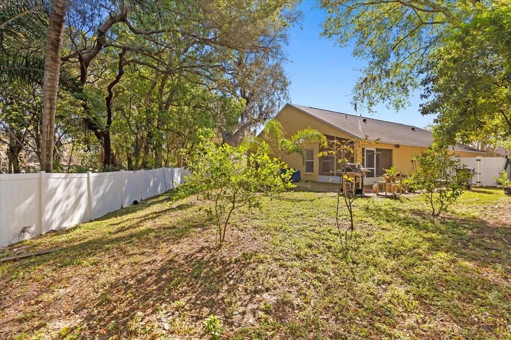 Backyard, Exterior