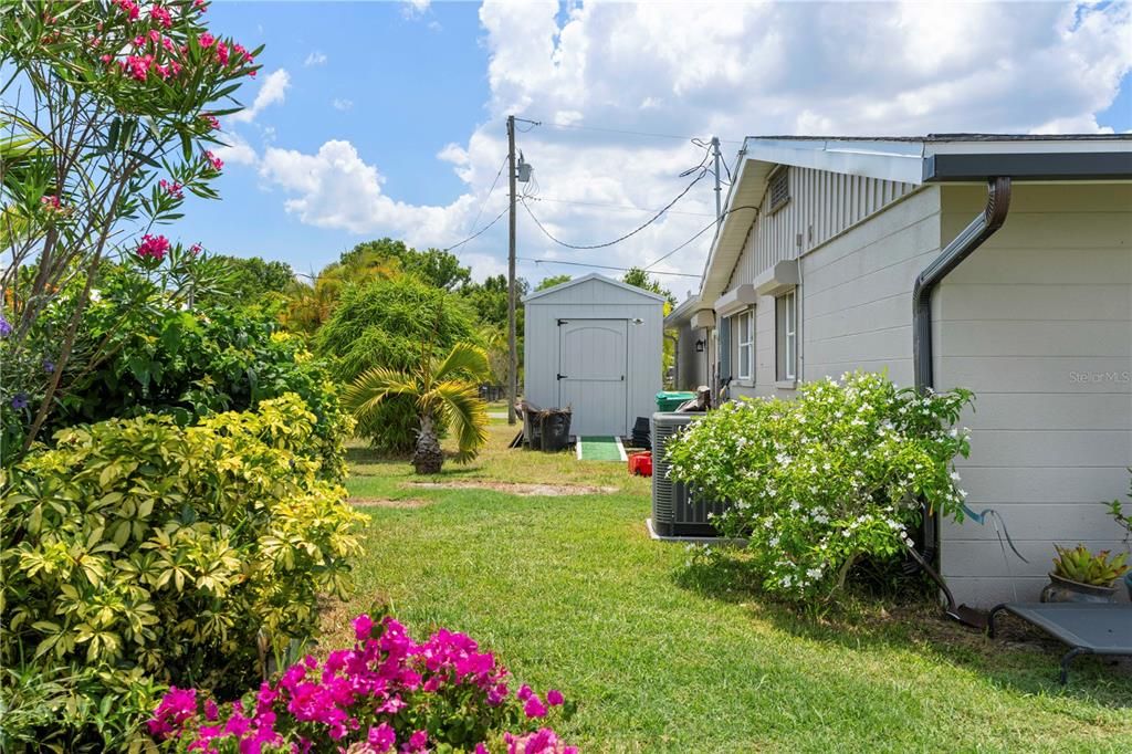 Backyard, Exterior