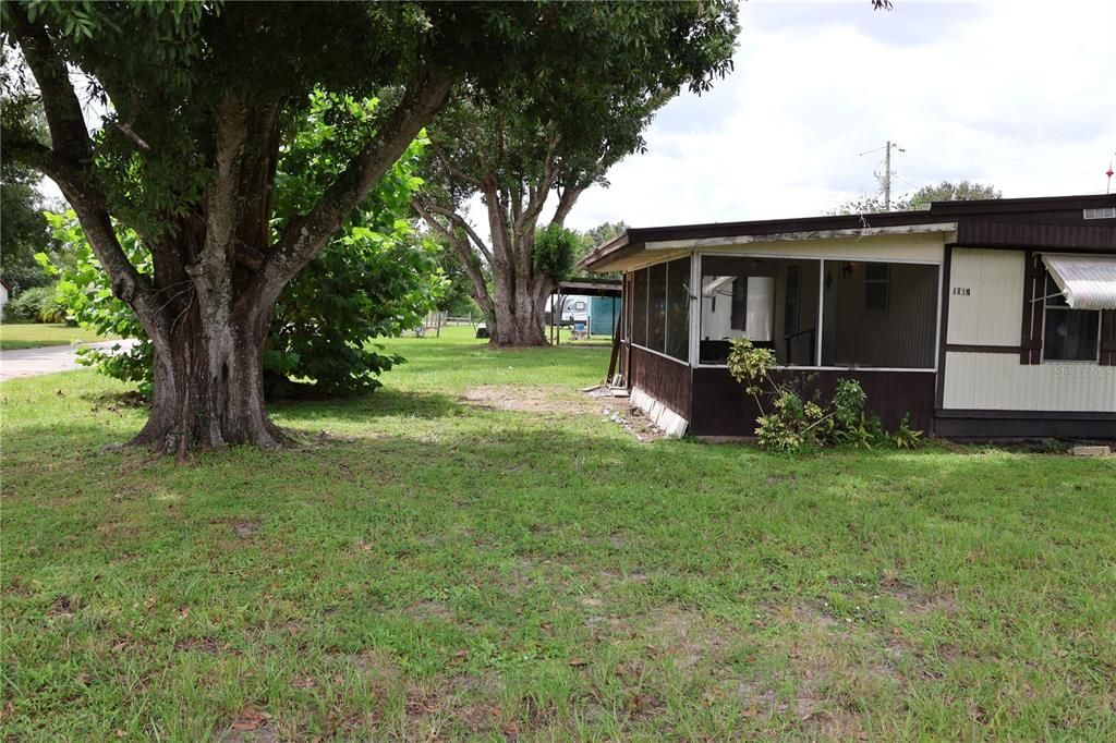 Backyard, Exterior