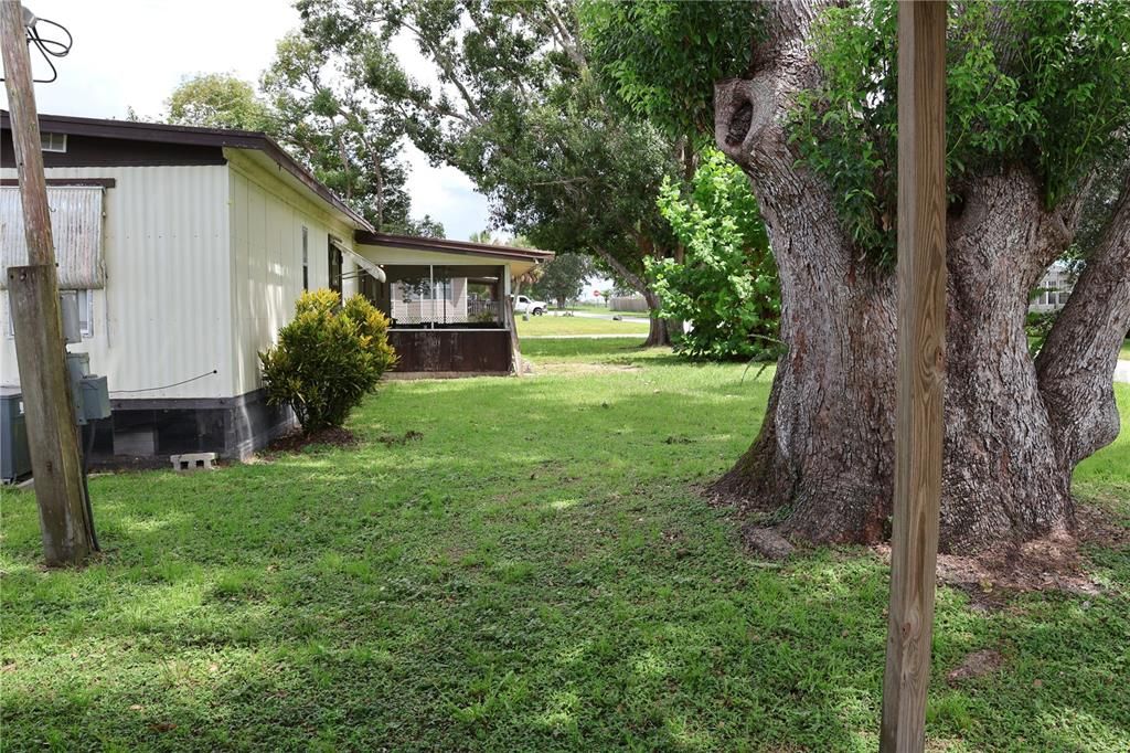 Backyard, Exterior