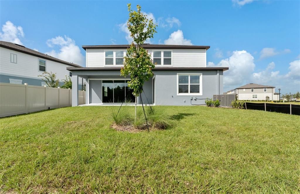 Backyard, Exterior, Facade, Modern