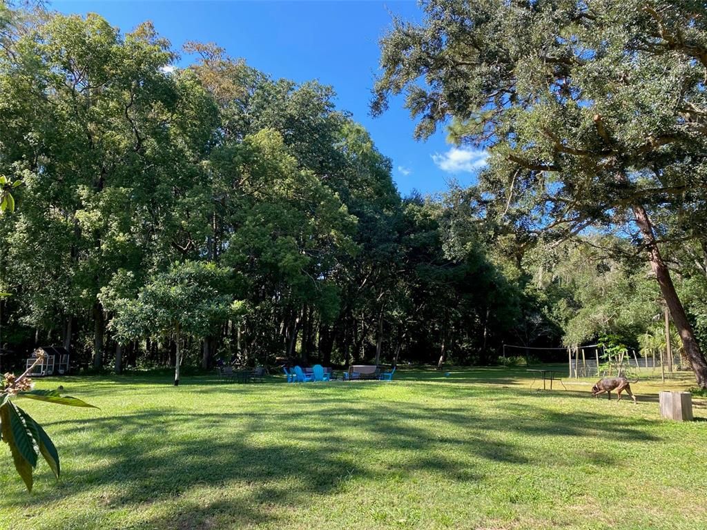 Backyard, Exterior