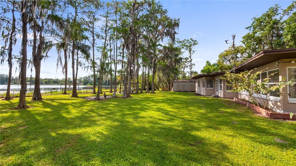 Backyard, Exterior, Water