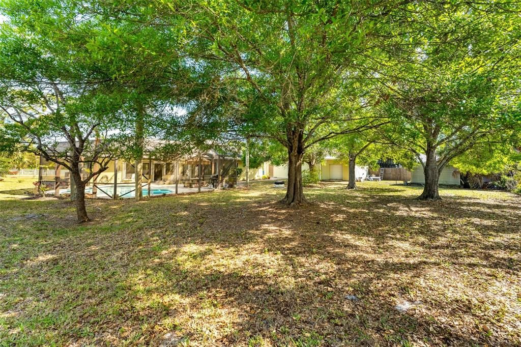 Backyard, Exterior