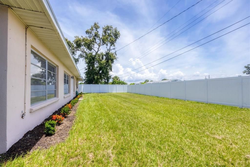 Backyard, Exterior