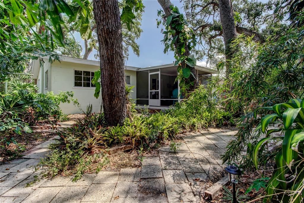 Backyard, Exterior