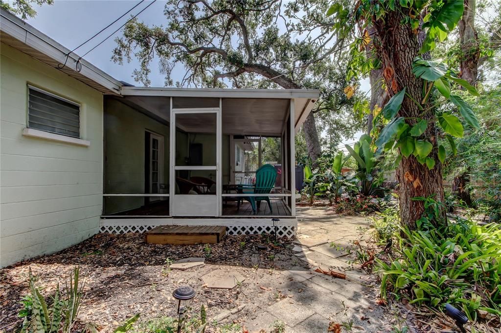 Backyard, Exterior