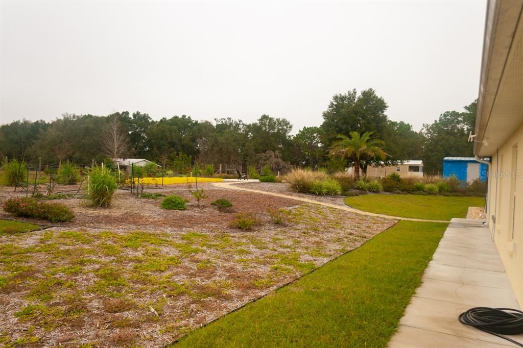 Backyard, Exterior