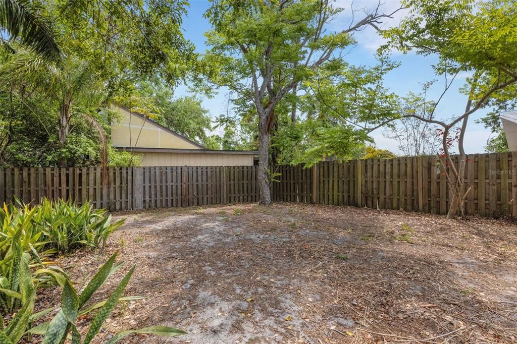 Backyard, Exterior
