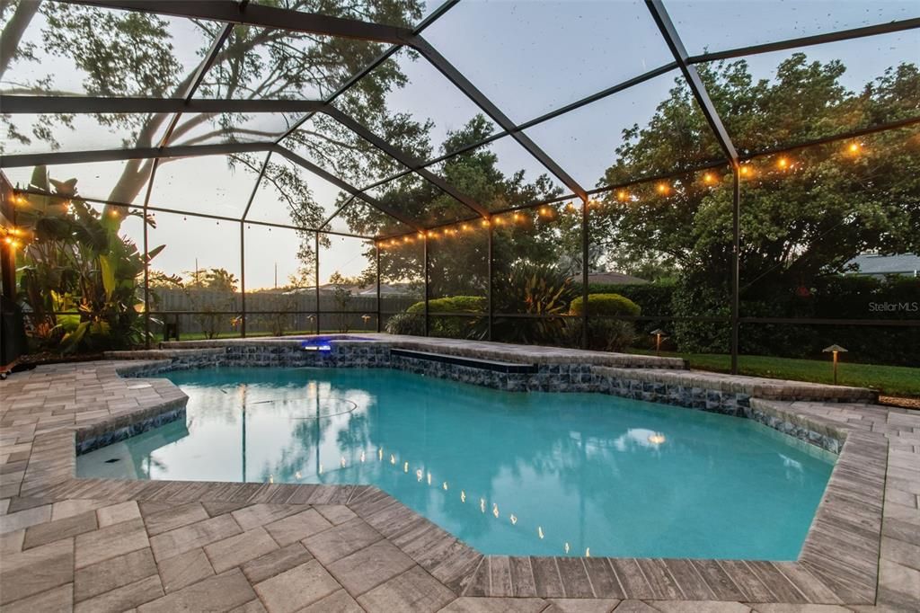 Glass Ceilings, Interior, Pool, Sun Room