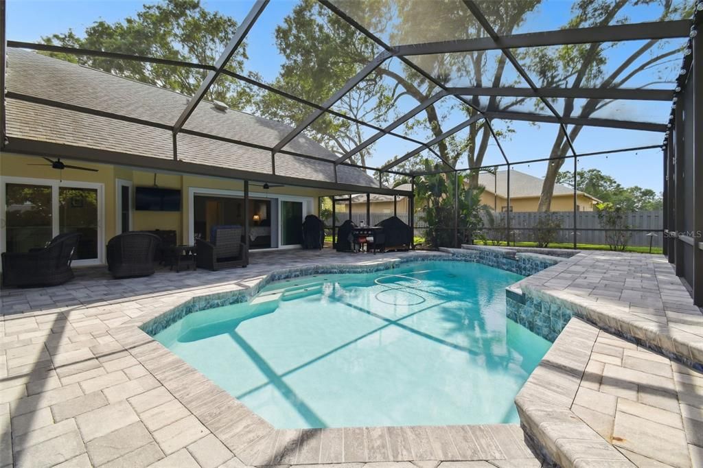 Glass Ceilings, Interior, Pool, Sun Room