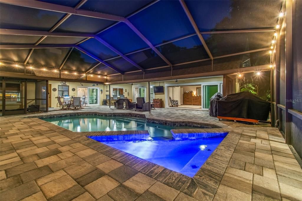 Glass Ceilings, Interior, Pool, Sun Room