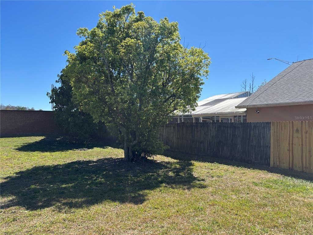 Backyard, Exterior
