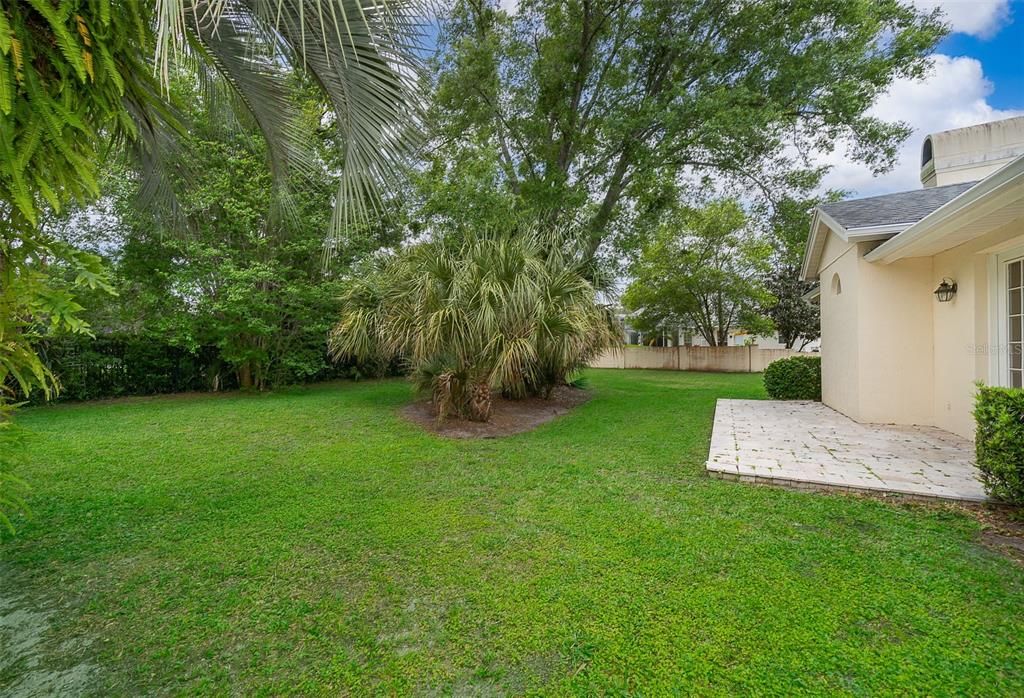 Backyard, Exterior