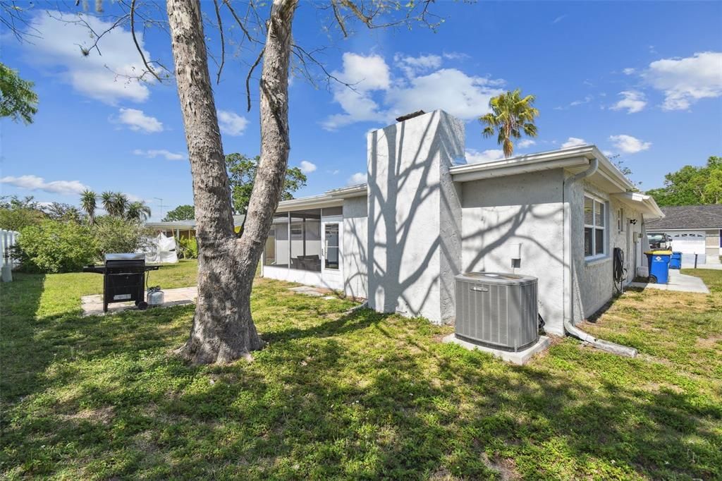 Backyard, Exterior