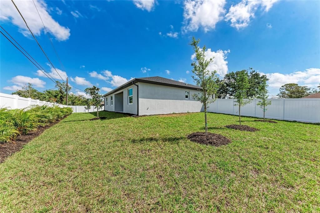 Backyard, Exterior