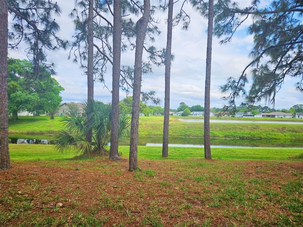 Exterior, Lake