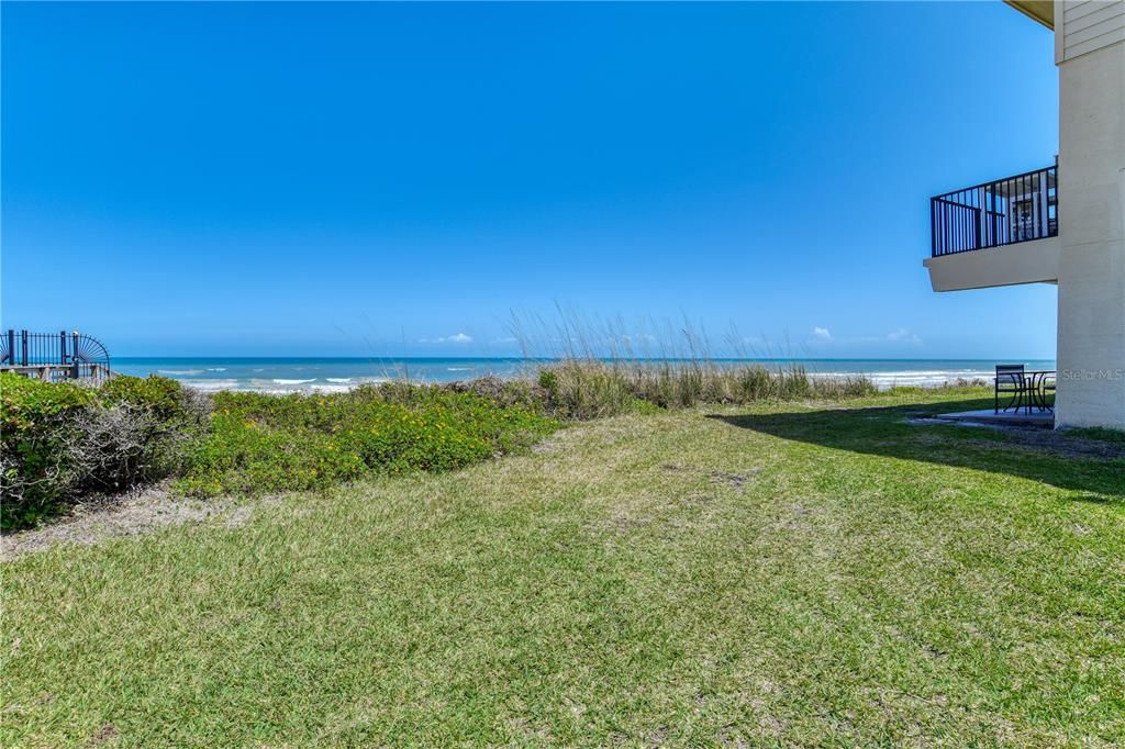 Backyard, Exterior, Water